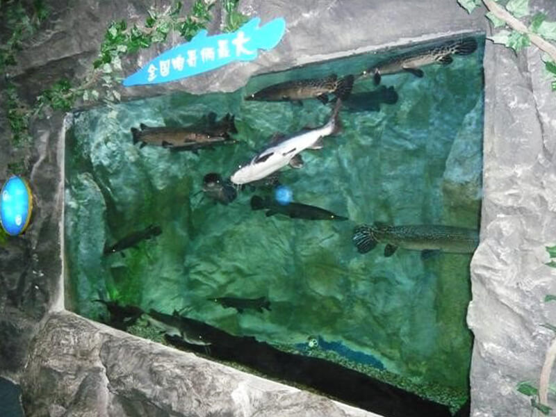Ningbo Kamikaze Underwater World