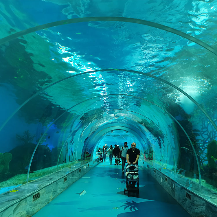 What are the features of the tunnel aquarium in bangalore-Leyu acrylic sheet products factory
