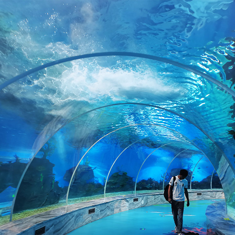 Why Is The Georgia Aquarium Tunnel So Popular-Leyu Acrylic Sheet Products Factory