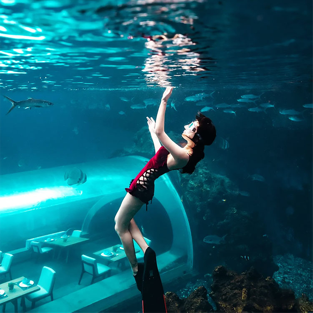 Aquarium underwater tunnel by the Leyu acrylic aquarium factory - Leyu 