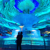 Custom Acrylic Cylinder Aquarium Need To Pay Attention To What - Leyu
