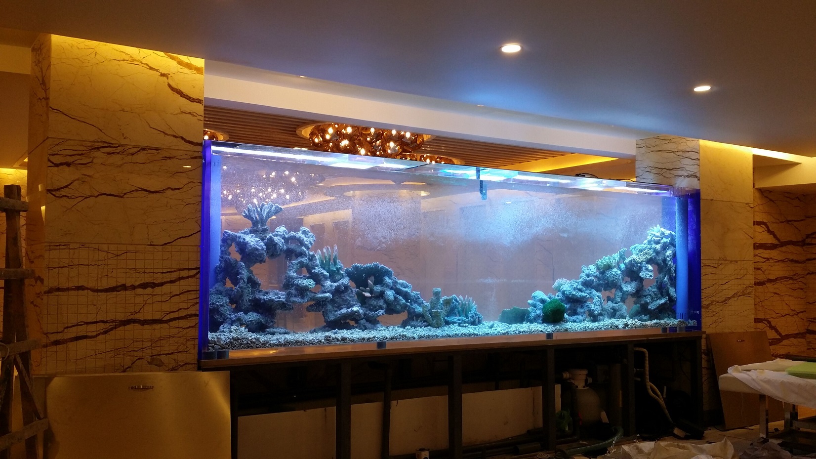 Acrylic Aquarium Tanks