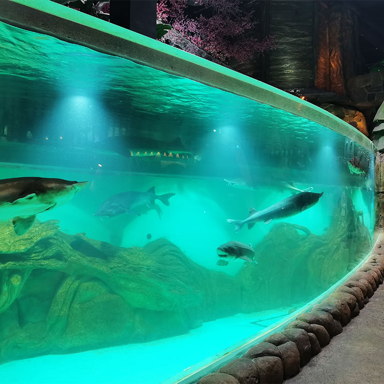 Custom Acrylic Window Aquarium Oceanarium-Leyu Acrylic Sheet Products Factory 