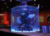 Leyu acrylic is a Acrylic Aquarium Manufacturer and Builder - Leyu