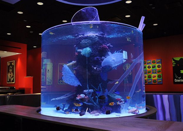 Leyu acrylic is a Acrylic Aquarium Manufacturer and Builder - Leyu