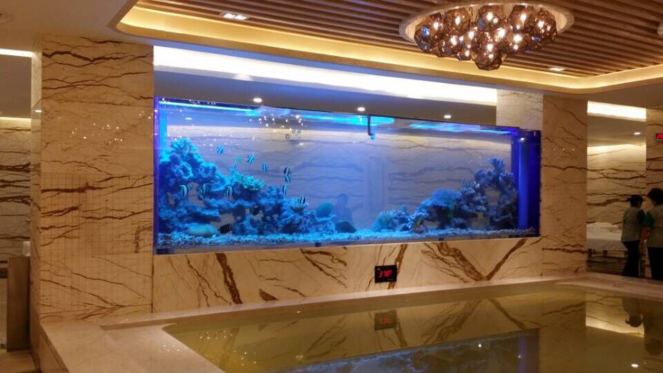 Introducing acrylic aquariums to create a new efficient office environment
