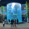Custom Acrylic Cylinder Aquarium Need To Pay Attention To What - Leyu