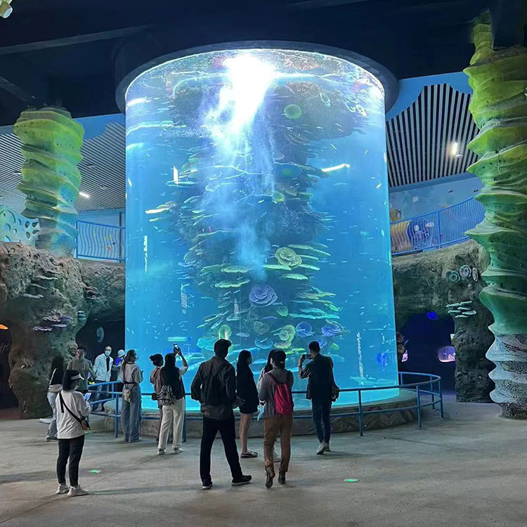 Custom Acrylic Cylinder Aquarium Need To Pay Attention To What - Leyu