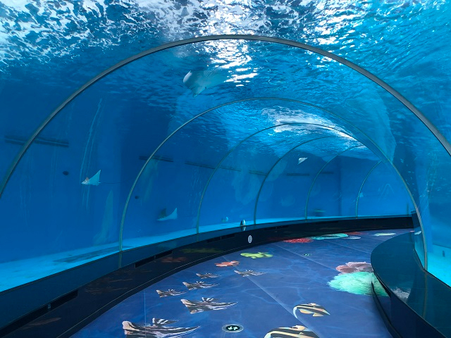 Custom Acrylic Cylinder Aquarium Need To Pay Attention To What - Leyu