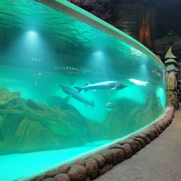 Acrylic Aquarium Tanks & Aquarium Stands Manufacturer | Leyu Acrylic Factory