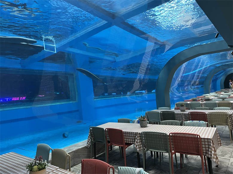 The Amazing Aquarium Tunnel