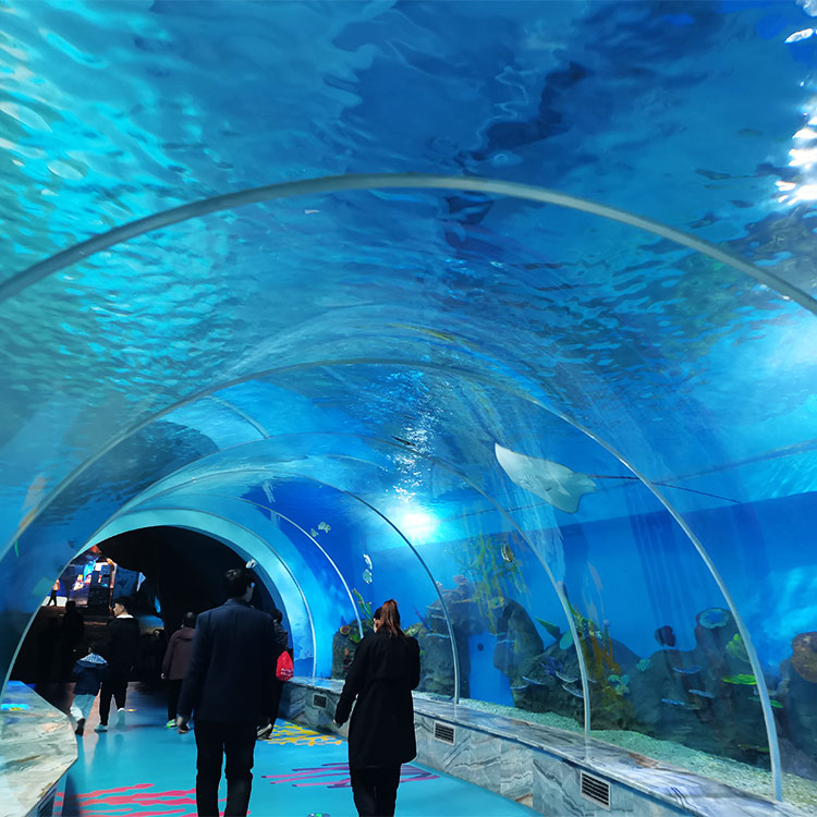 The Fantastic Large Acrylic Aquarium Tank Tunnel-Leyu Acrylic Sheet Products Factory