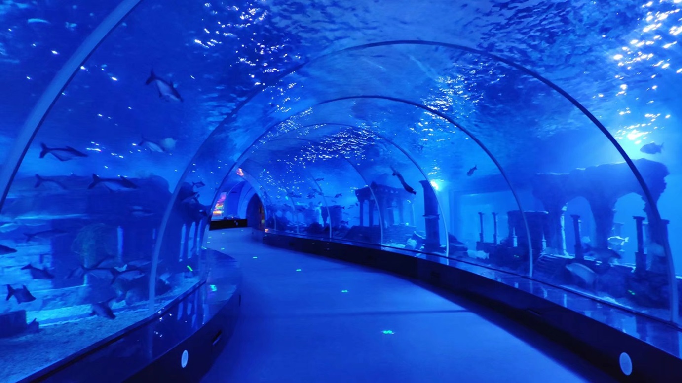 Aquarium Tunnel
