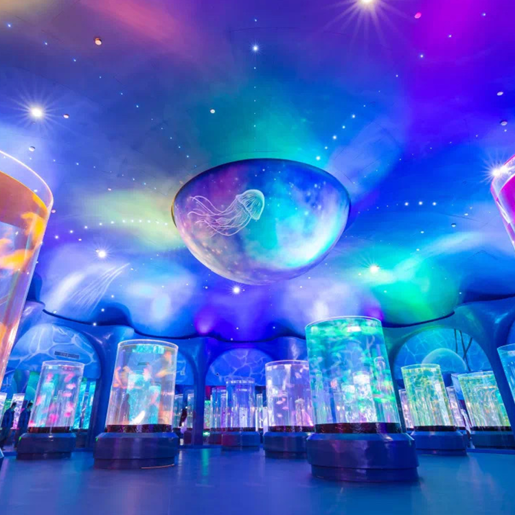 Jellyfish Aquarium