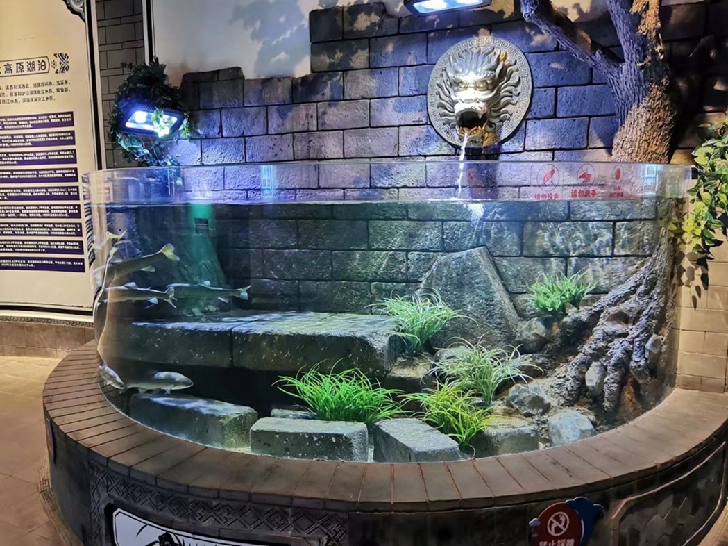 Fish Tank Fish Tank