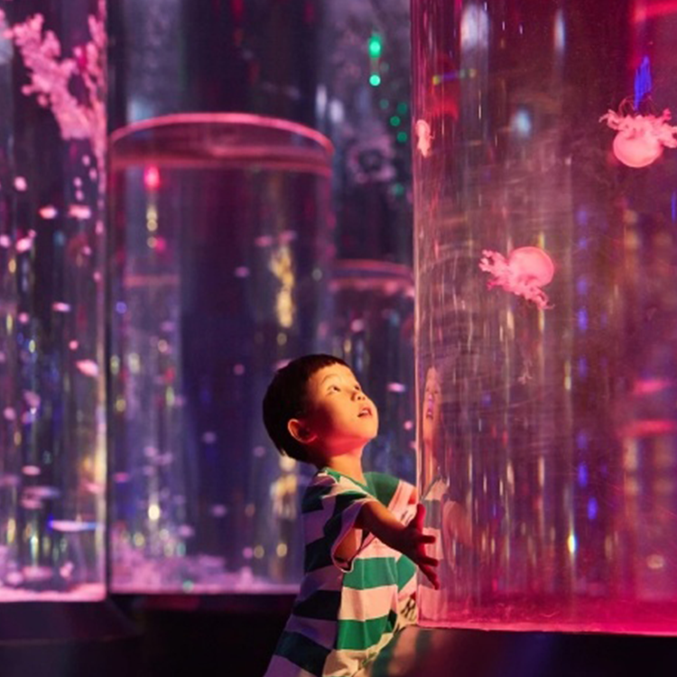 Jellyfish aquarium - Leyu