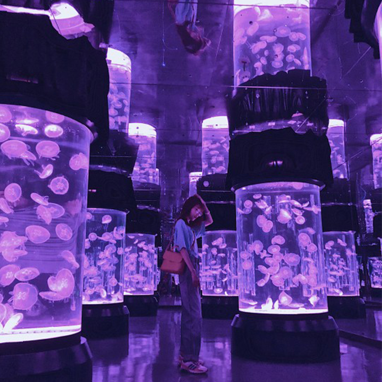 Jellyfish aquarium - Leyu