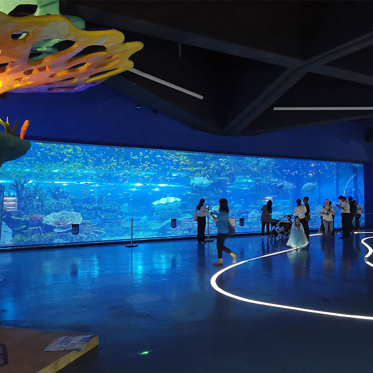 Leyu Lisbon oceanarium explore the ocean world oceanarium