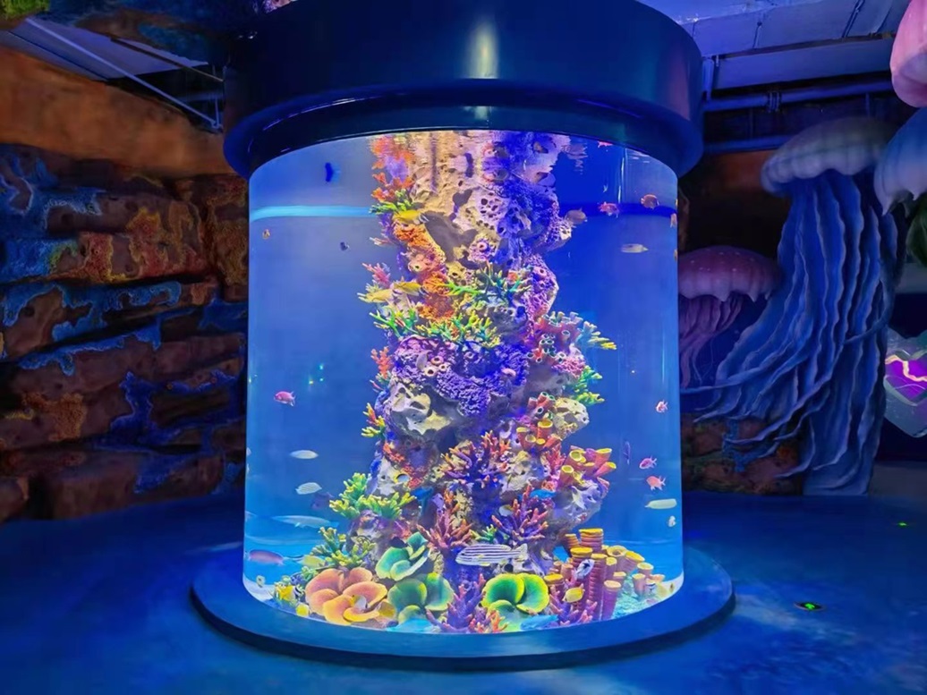 acrylic aquarium ਐਕ੍ਰੀਲਿਕ ਐਕੁਏਰੀਅਮ