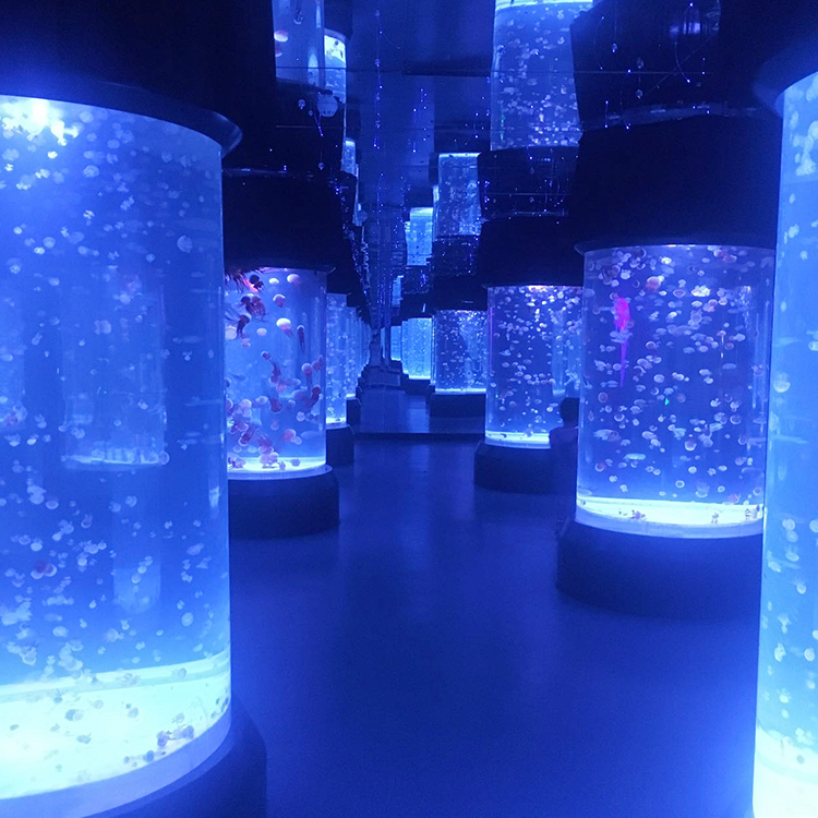 Jellyfish aquarium - Leyu