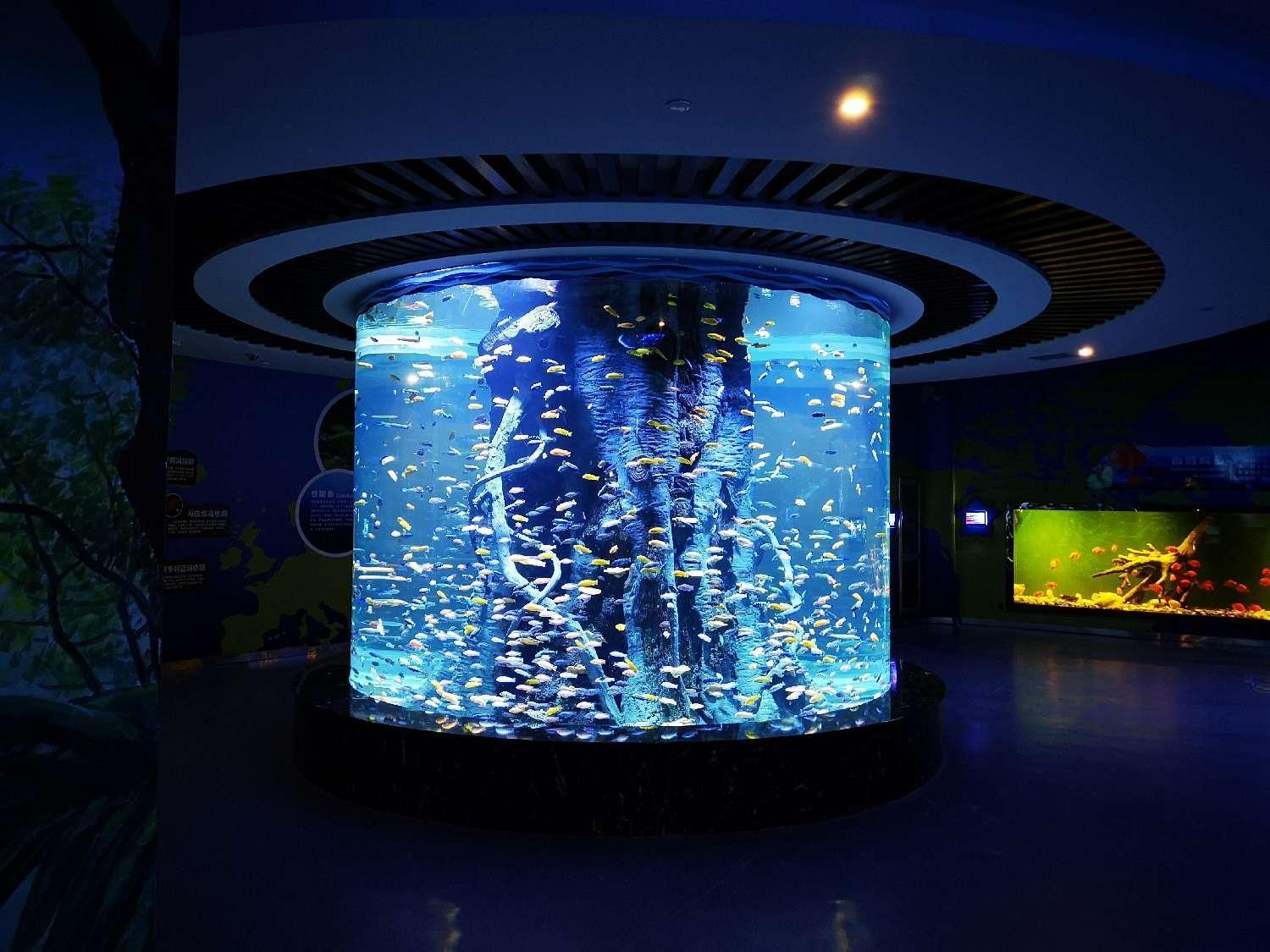 Acrylic cylindrical aquarium - LEYU INSTALLATION