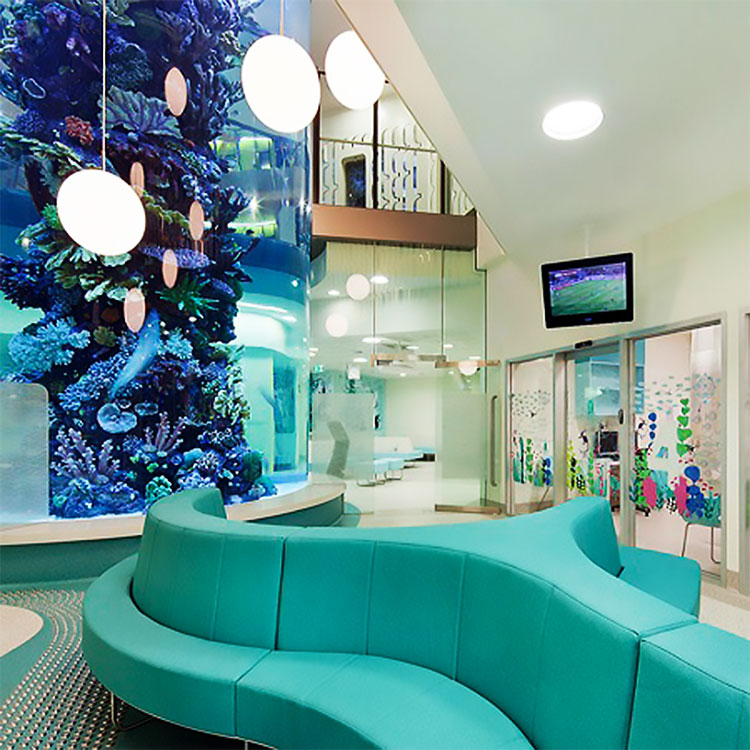 acrylic fish tank
