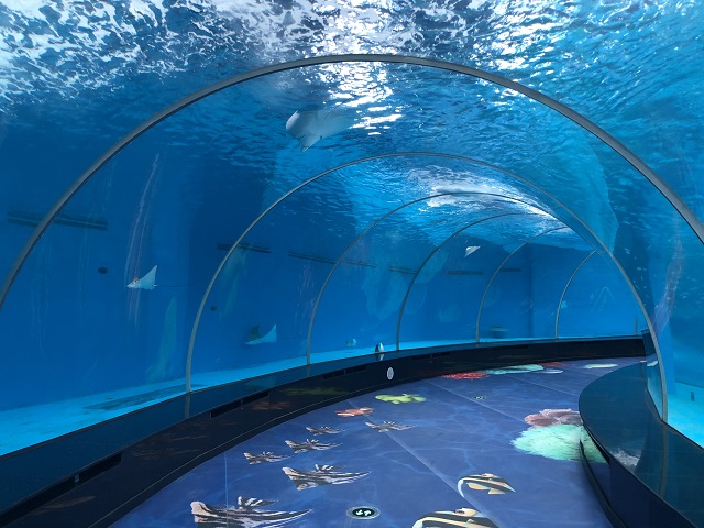 aquarium tunnel aquarium tunnel