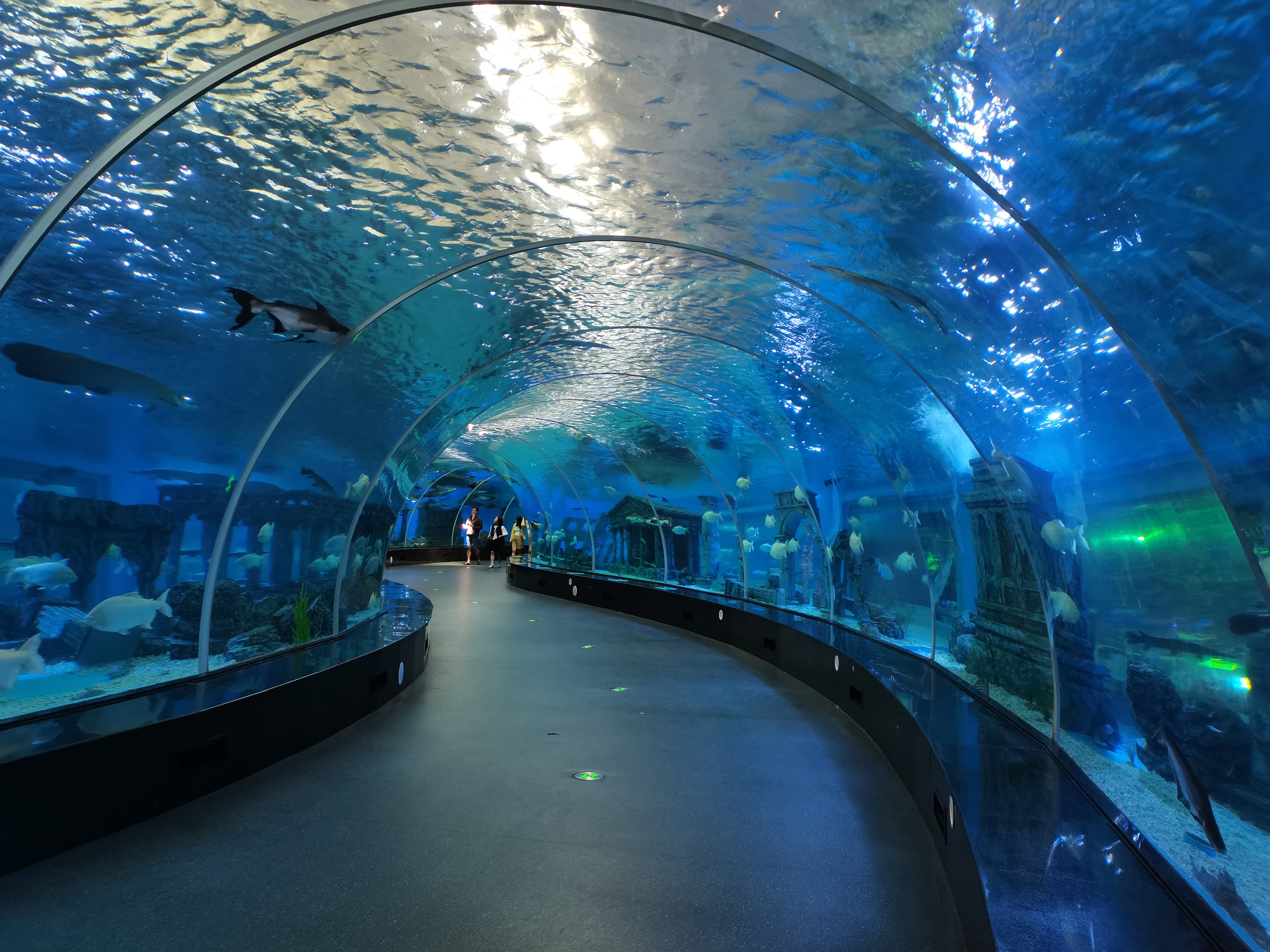 Acrylic tunnel aquarium - LEYU ACRYLIC