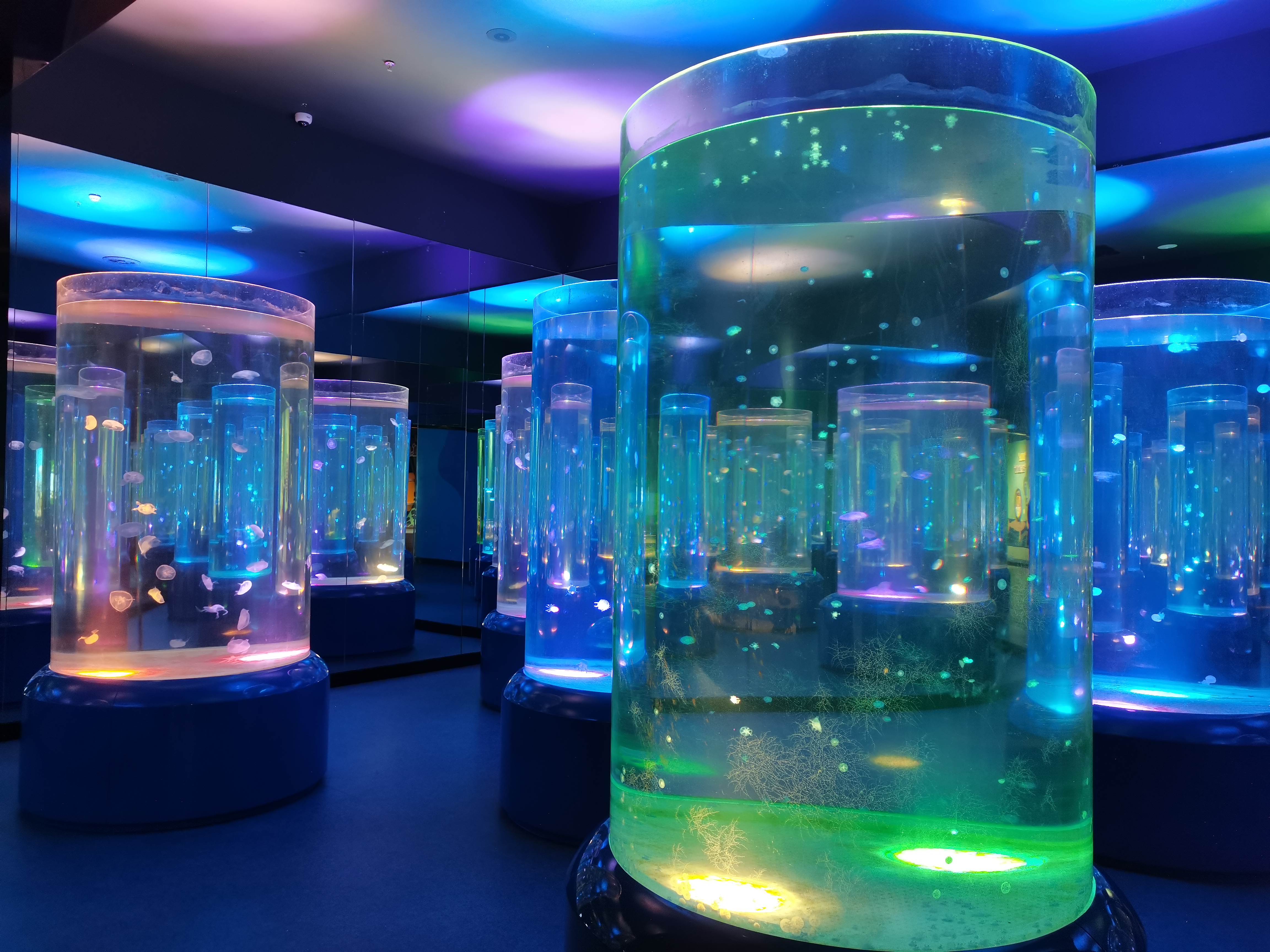 Acrylic jellyfish aquarium - manufacture