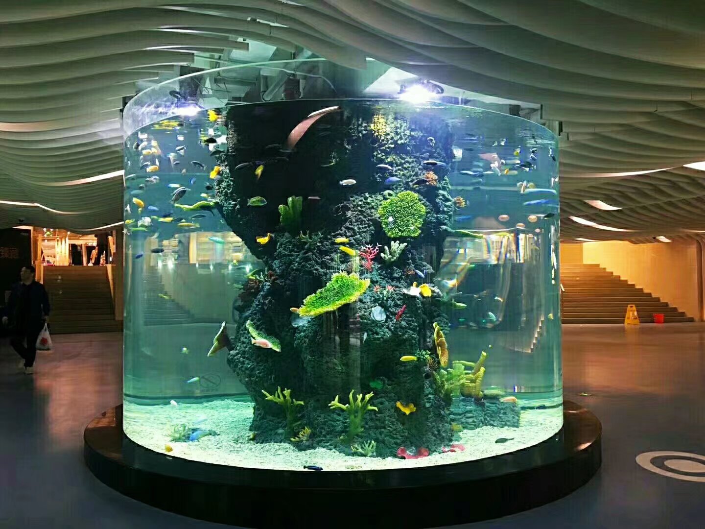 Acrylic cylindrical aquarium - PAG-INSTALL NG LEYU