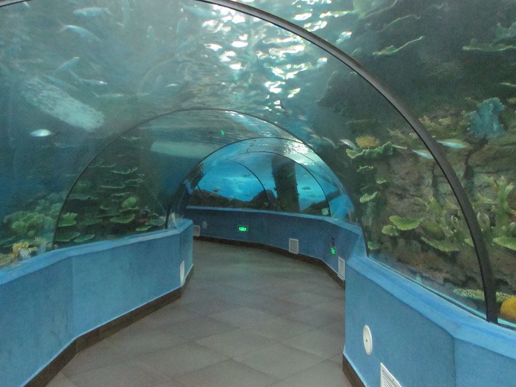 Hefei Hanhai Polar Ocean World - Leyu Aquarium Tunnel (11)