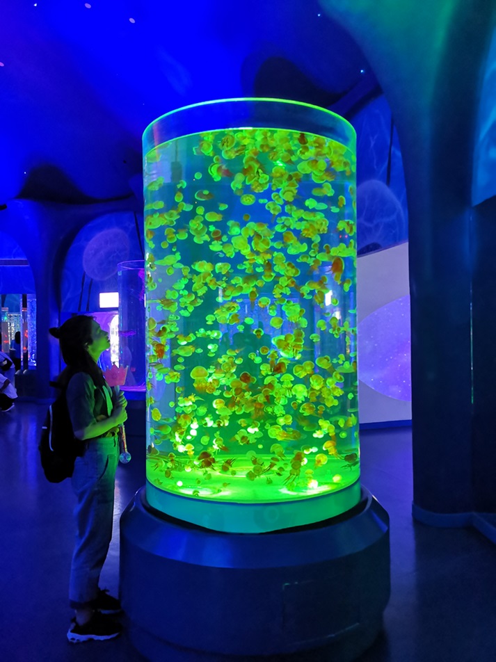 Shanghai Haichang Polar Ocean Park - Leyu Arylic Jellyfish Aquarium Shanghai Haichang Polar Ocean Park - Leyu Arylic Jellyfish Aquarium