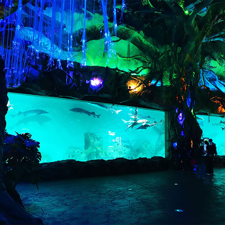 Xuzhou Oulebao Polar Ocean Park - Leyu Arylic Aquarim Window (2)