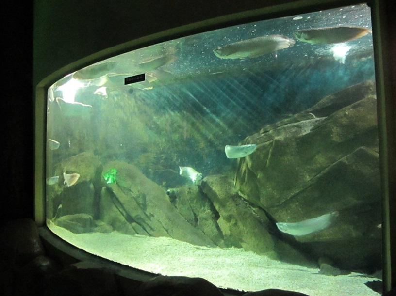 Shandong Penglai Underwater World - Leyu Acrylic Window(2)