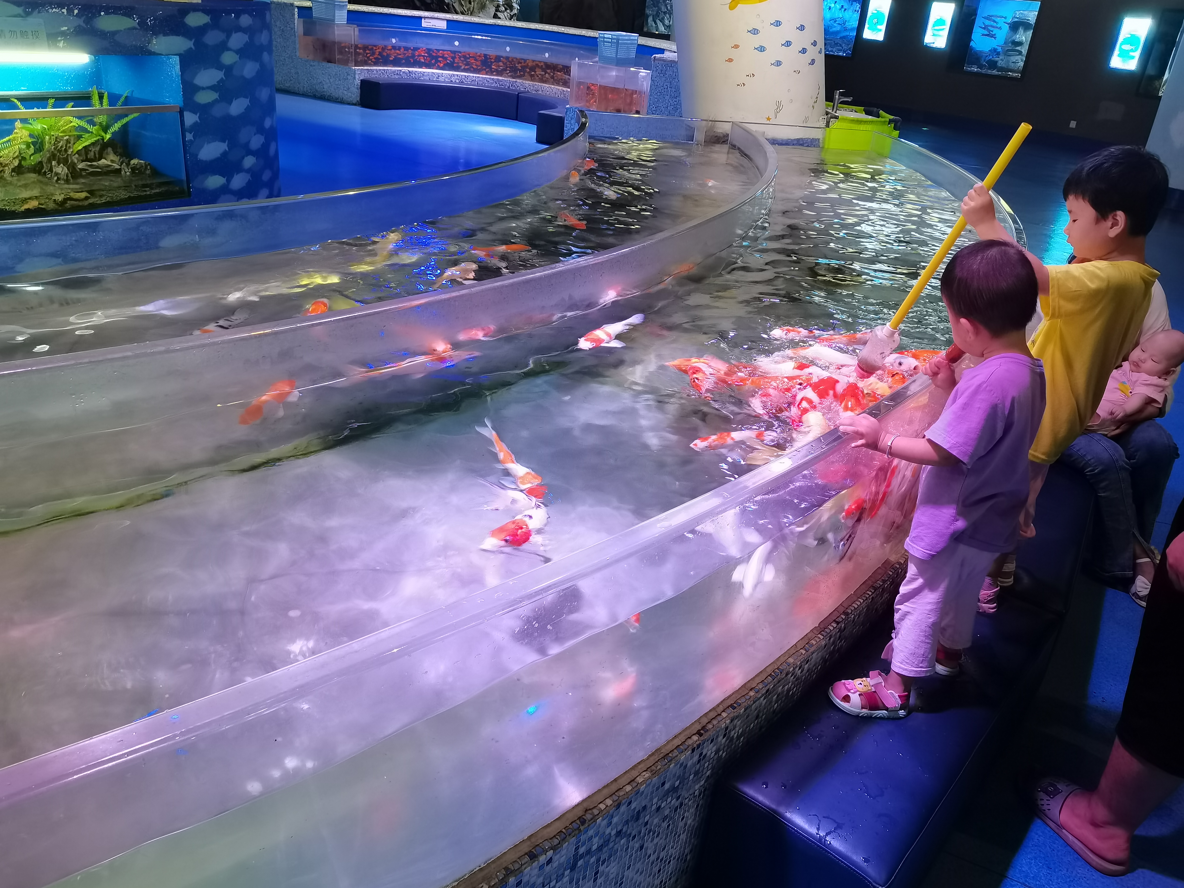 Acrylic fish pool - LEYU