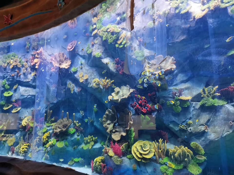 Acrylic aquarium window - manufacture