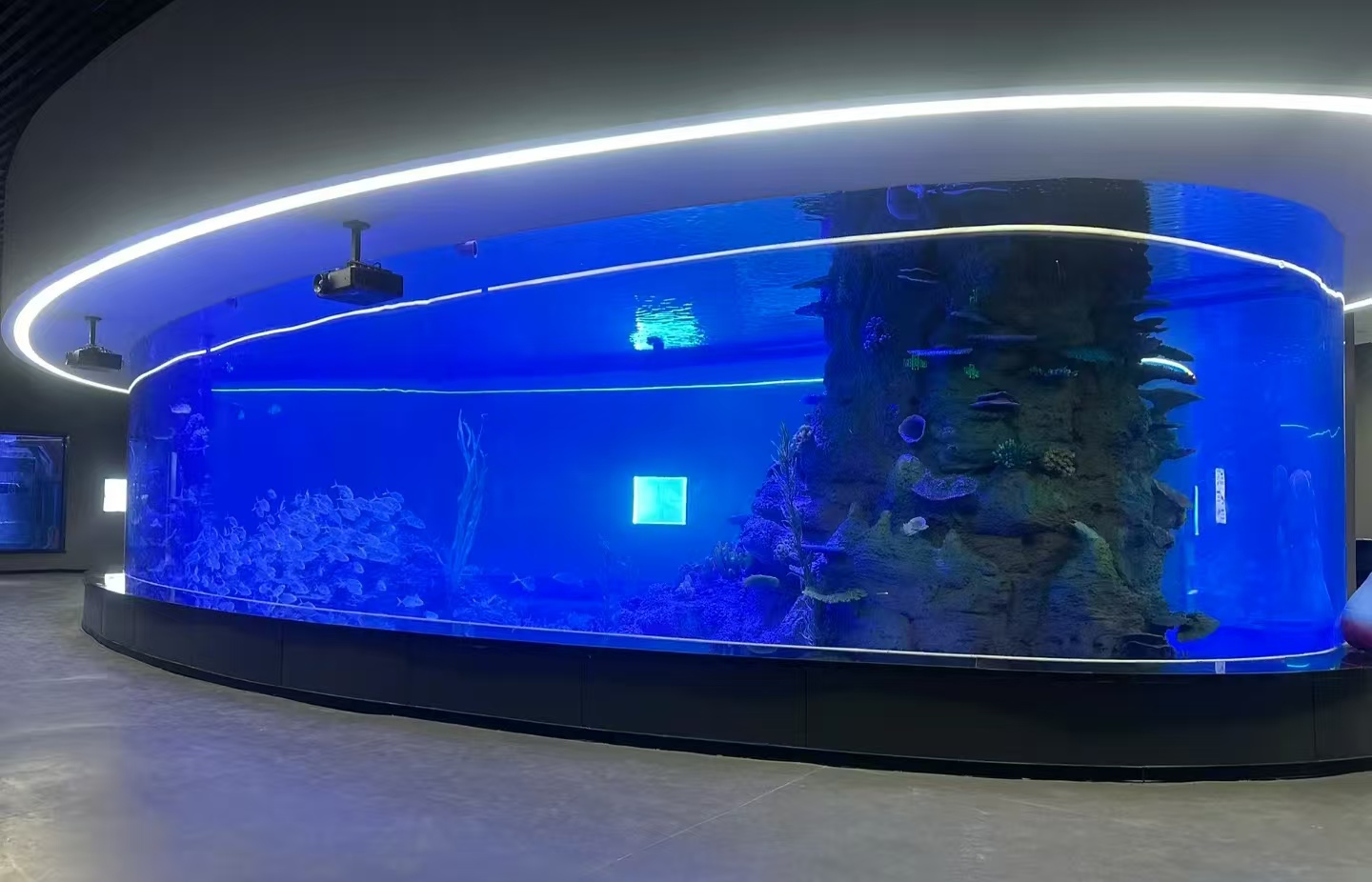 Acrylic fish tank