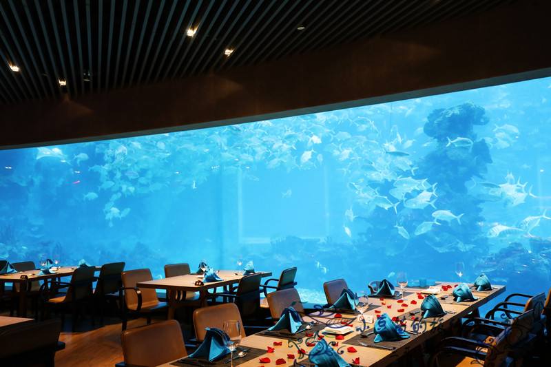 Acrylic water feature restaurant - manufacture