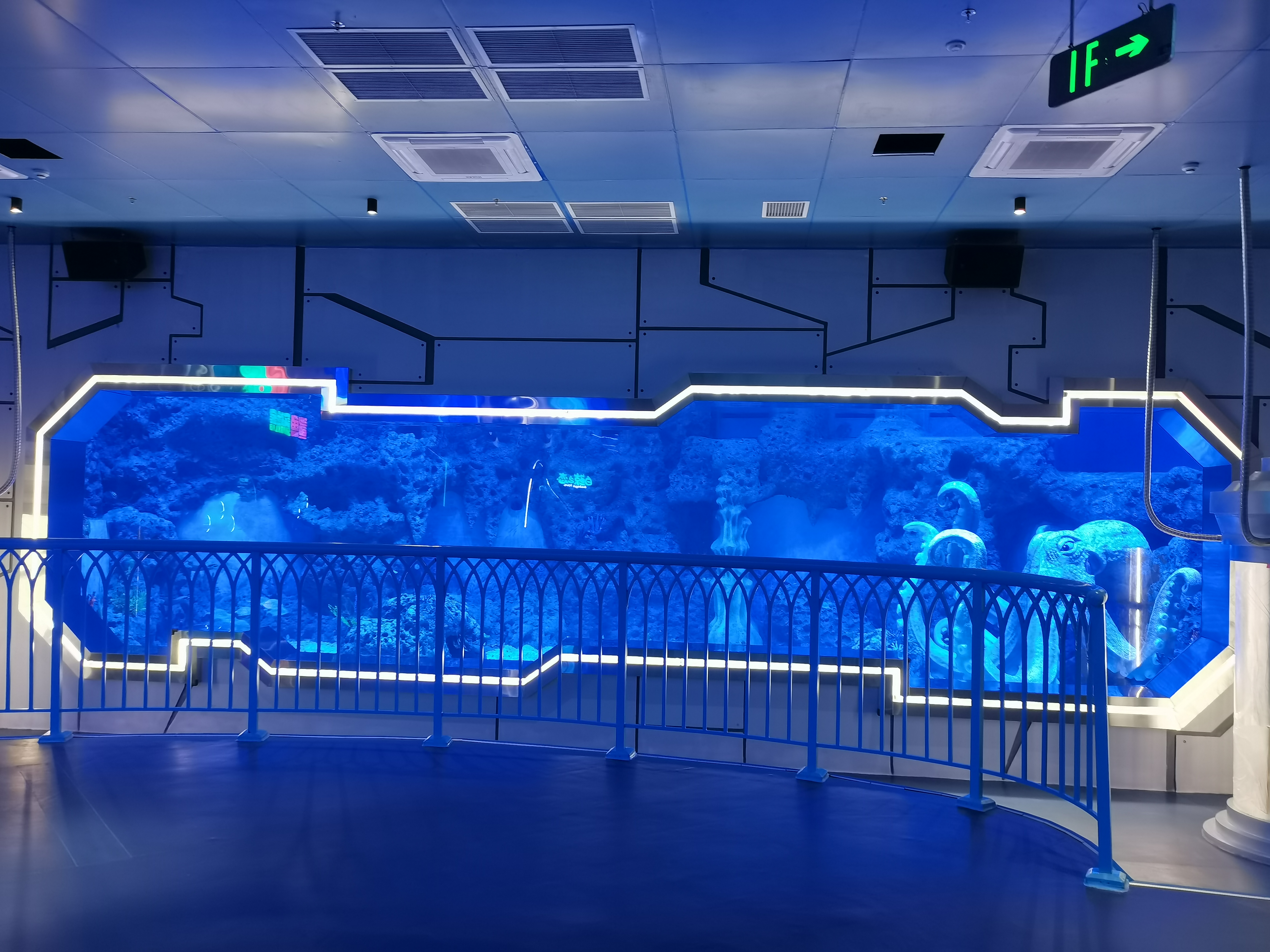 Acrylic window aquarium - LEYU ACRYLIC