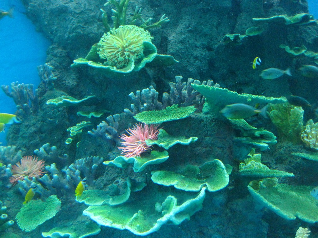 Hefei Hanhai Polar Ocean World - Leyu Aquarium 