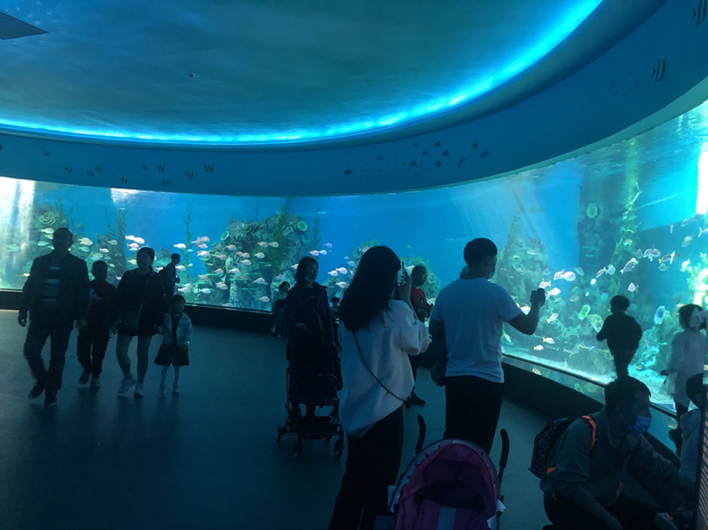 Fuzhou Yongtai Underwater World For Acrylic Aquarium (3)