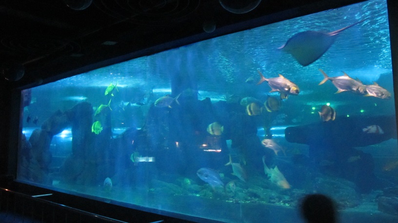 Shandong Penglai Underwater World - Leyu Acrylic Window (5)