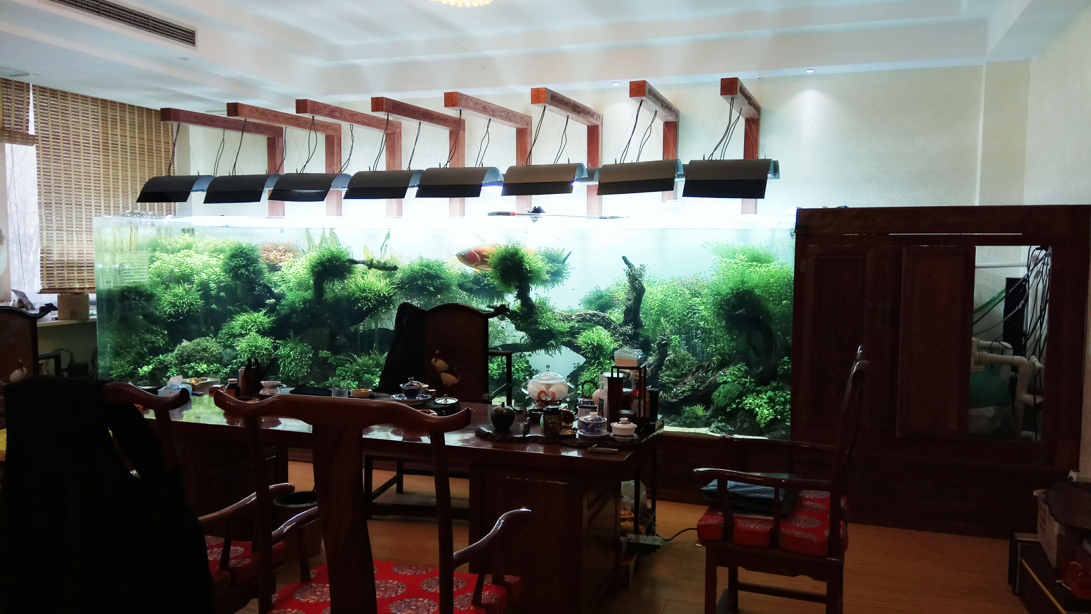 Acrylic fish tank - LEYU