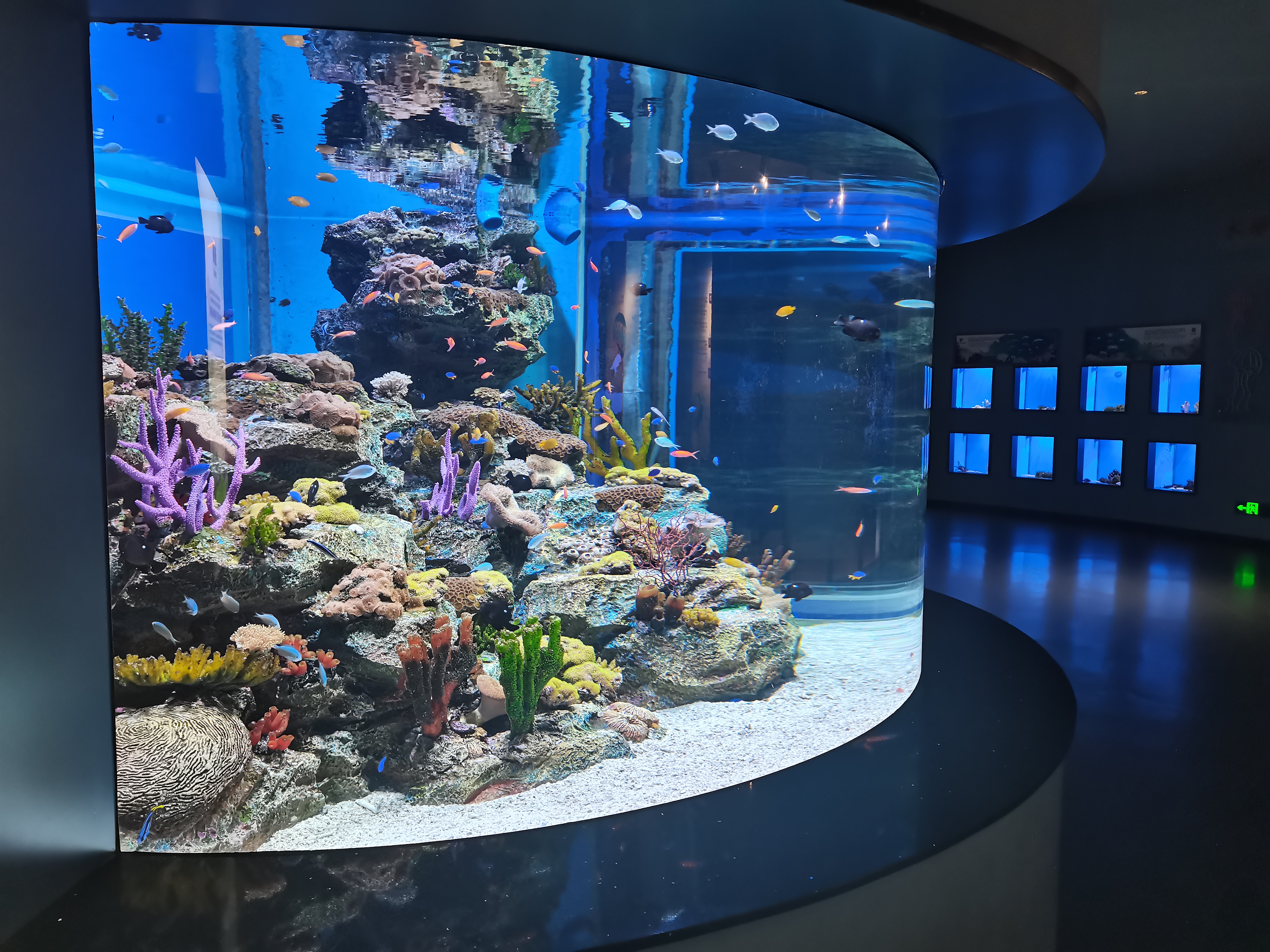 Acrylic window aquarium panel - LEYU