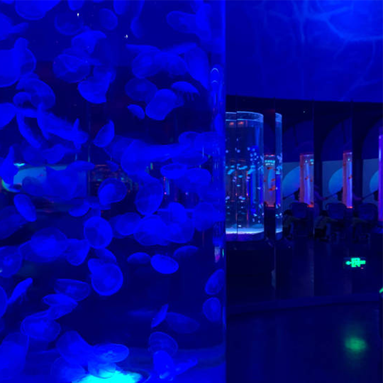 100 gal acrylic aquarium 