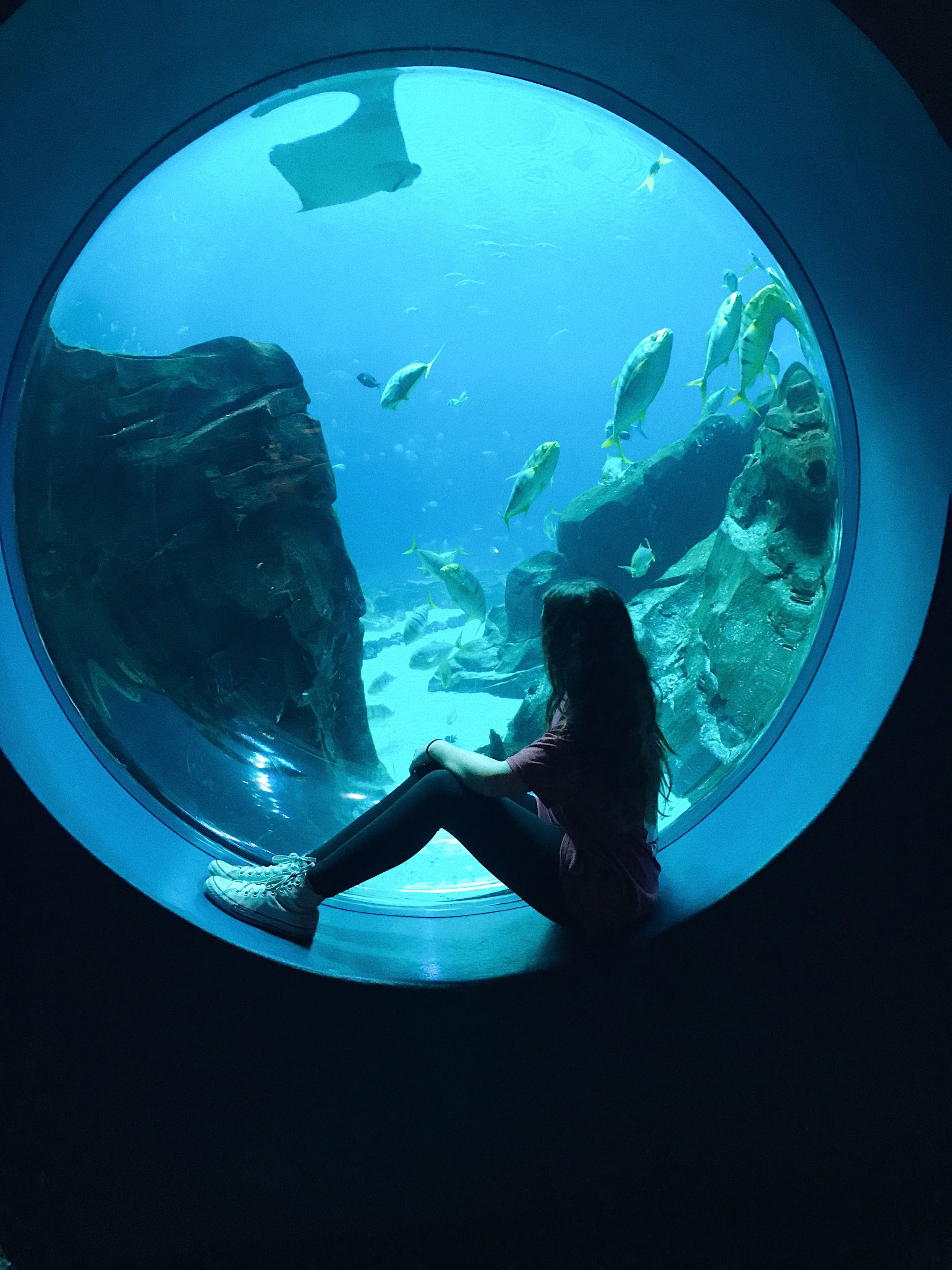 Acrylic window aquarium panel - LEYU