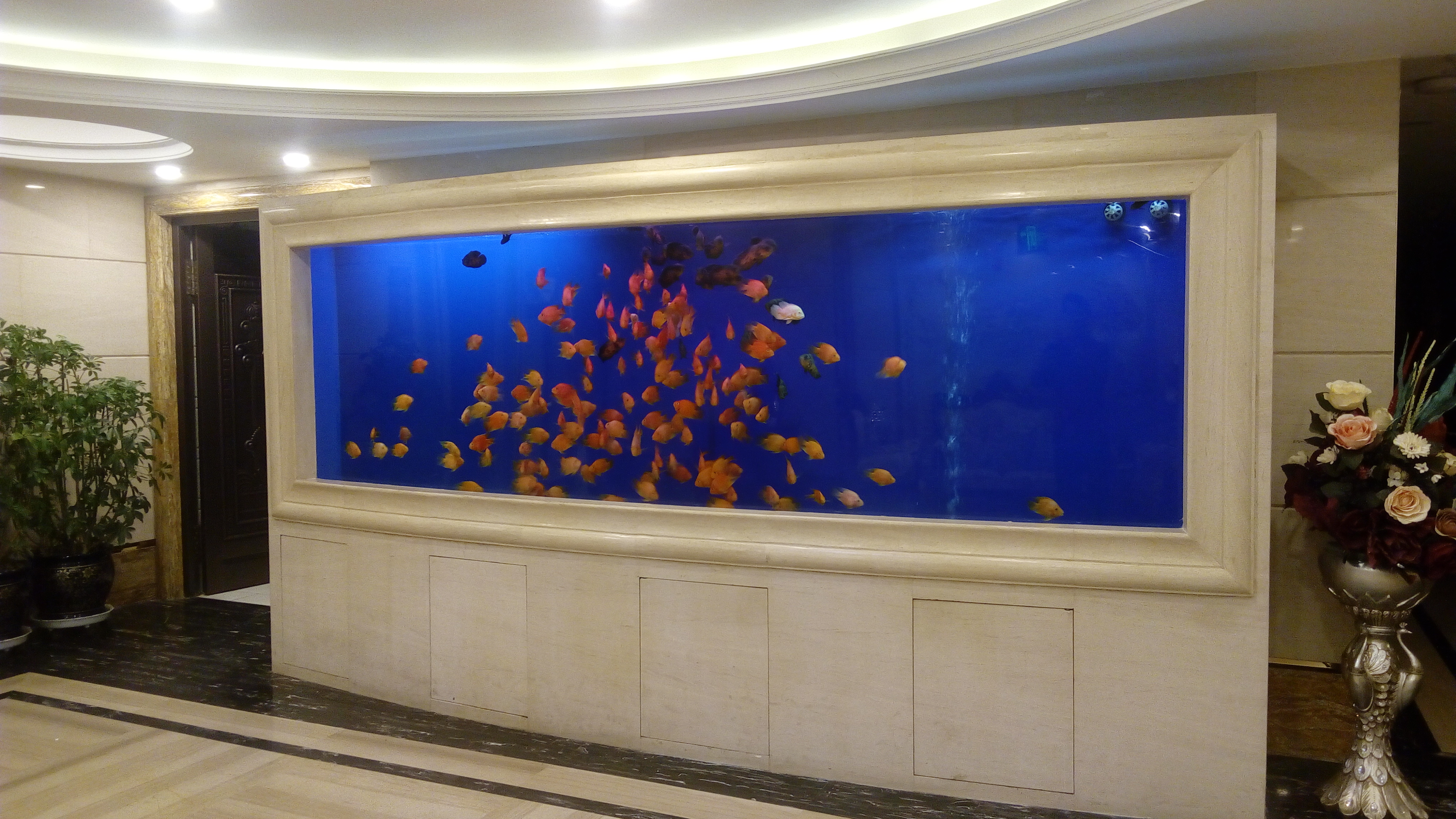 Custom acrylic fish tank - LEYU 