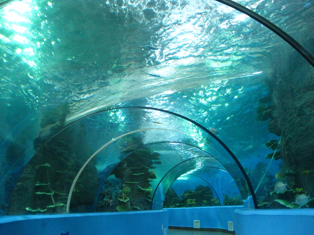 Hefei Hanhai Polar Ocean World - Leyu Aquarium Tunnel (2)