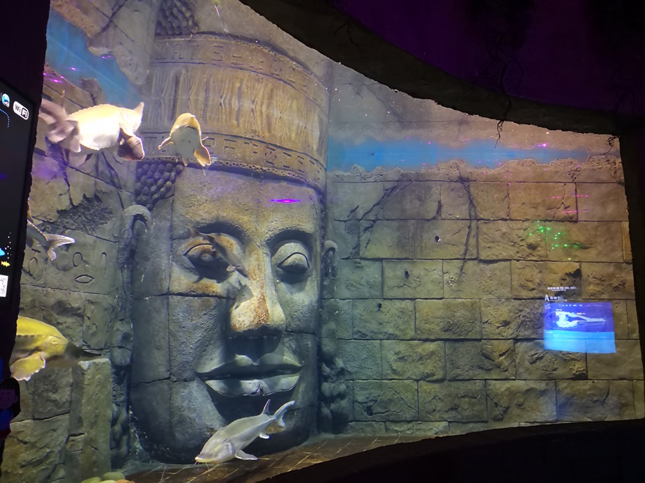 Chongqing Hanhai Polar Ocean World - Leyu Arylic Aquarim Window (2)