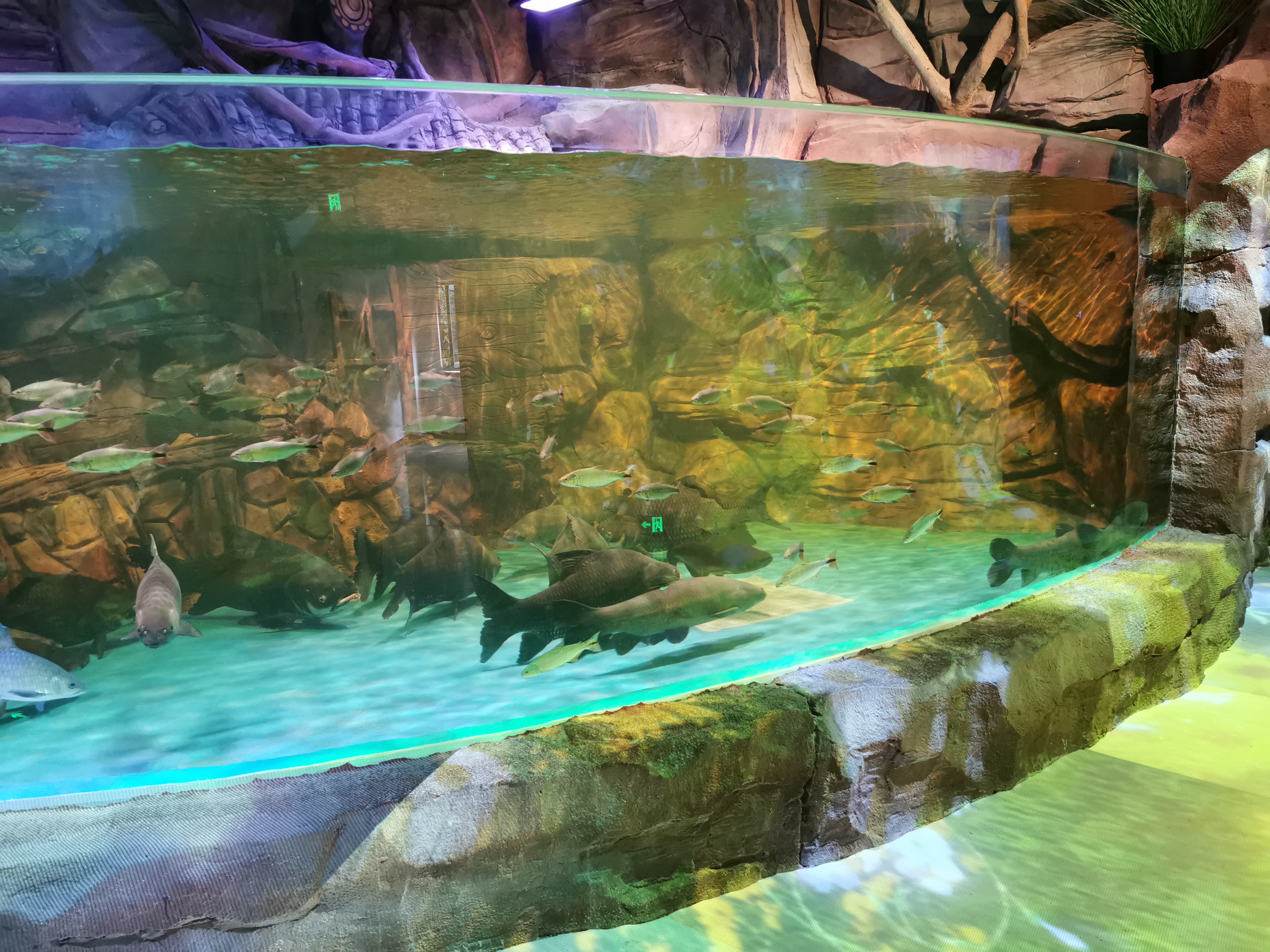 Acrylic pool panel - LEYU ACRYLIC
